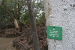 20061116_0046