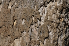 2015-07-27-0161