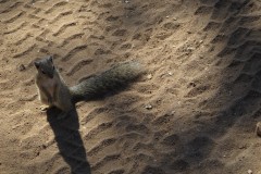 IMG_3114