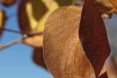IMG_3326