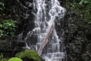 Mount Sheba Nature Reserve