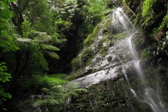 IMG_1723