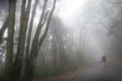 IMG_3471