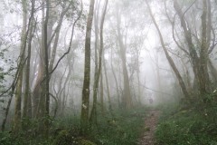 IMG_3519