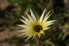 20070819_010