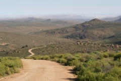 20070819_015