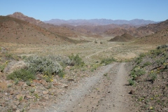 20070816_378