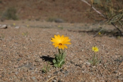 20070816_390