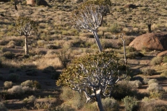 20070816_449