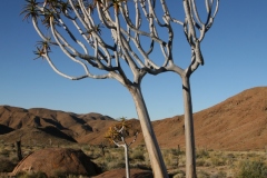 20070816_450