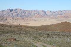 20070817_503