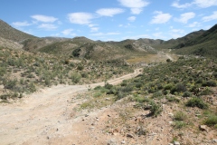 20070817_541