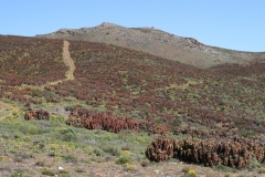 20070817_579
