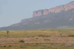 Nieuwoudtville and Surrounds