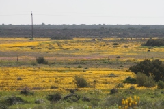20070820_343