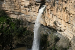 20070821_469