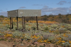 20070821_516