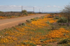 20070821_538