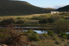 20070821_644