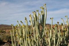 20070813_548