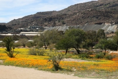 20070813_440