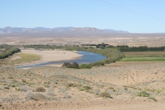 20070817_618