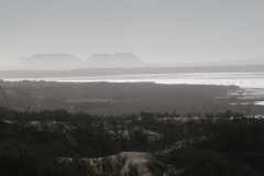 20070817_647
