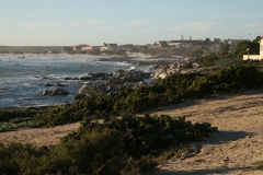 20070817_677