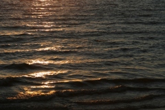 20070817_702