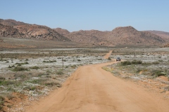 20070818_779