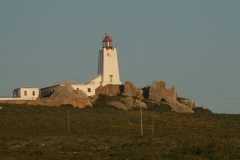 20070822_278