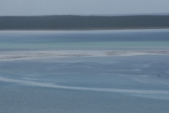 20070823_448